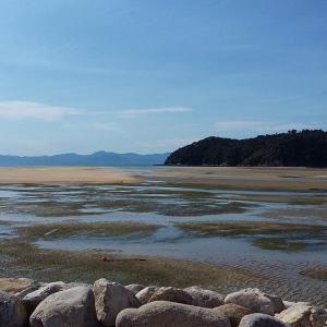 Golden Bay